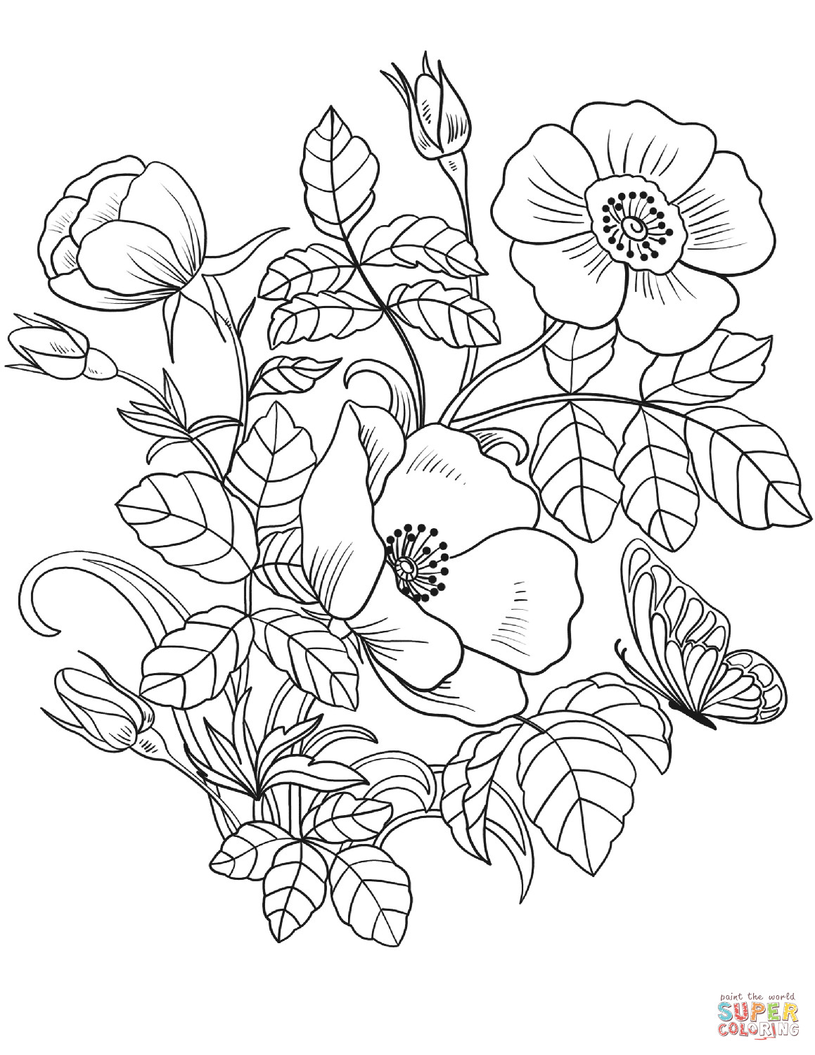 Free Printable Coloring Pages Of Flowers
 Spring Flowers coloring page