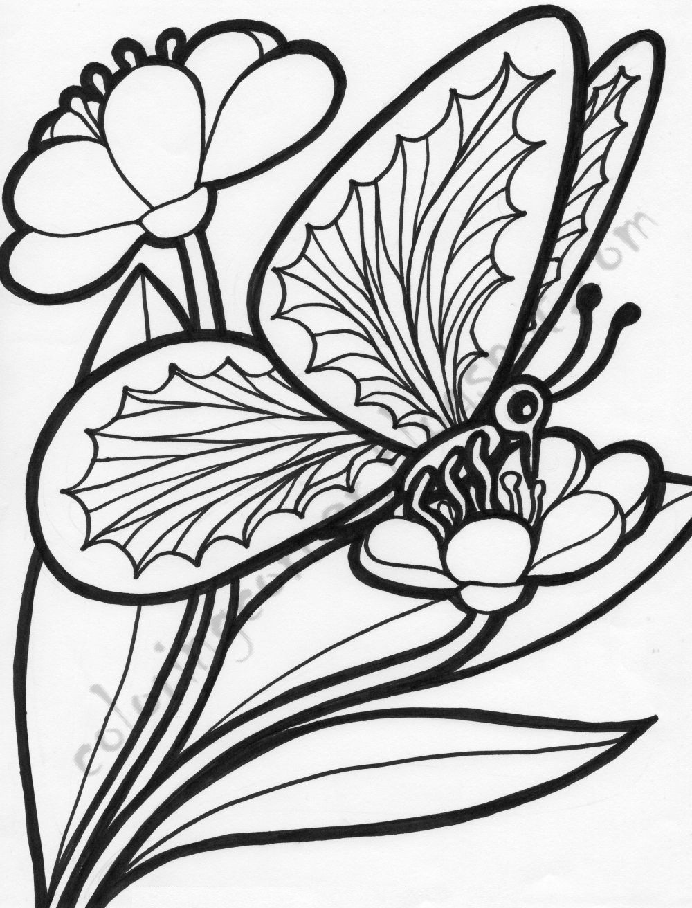 Free Printable Coloring Pages Of Flowers
 Coloring Flowers And Butterflies Beautiful