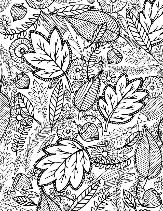 Free Printable Fall Coloring Pages
 alisaburke a FALL coloring page for you