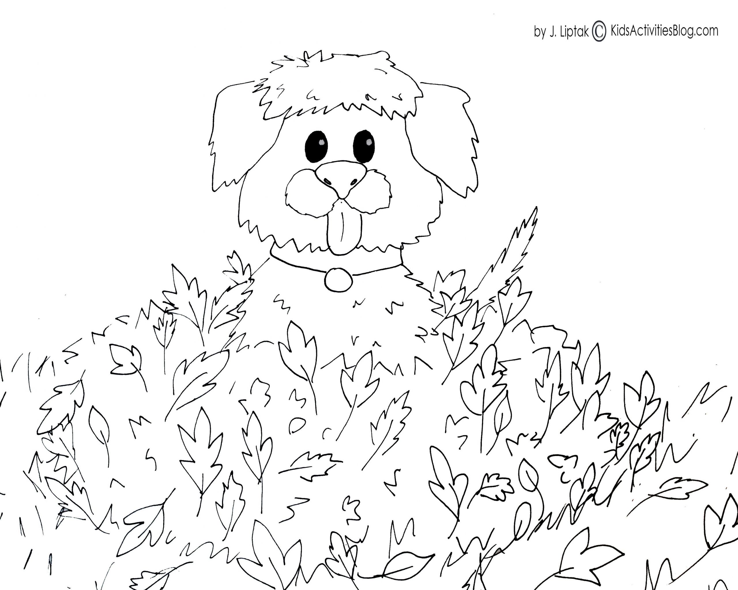 Free Printable Fall Coloring Pages
 Fall Free Printables For Kids