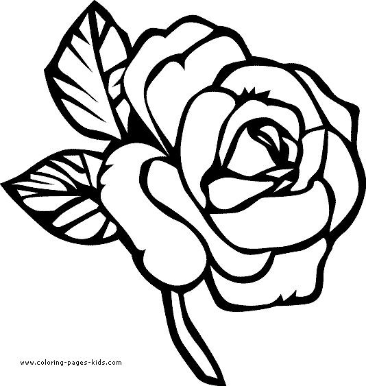 Free Printable Flower Coloring Pages
 flower Page Printable Coloring Sheets