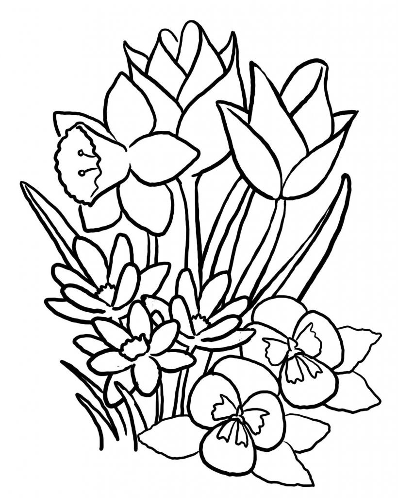 Free Printable Flower Coloring Pages
 Free Printable Flower Coloring Pages For Kids Best