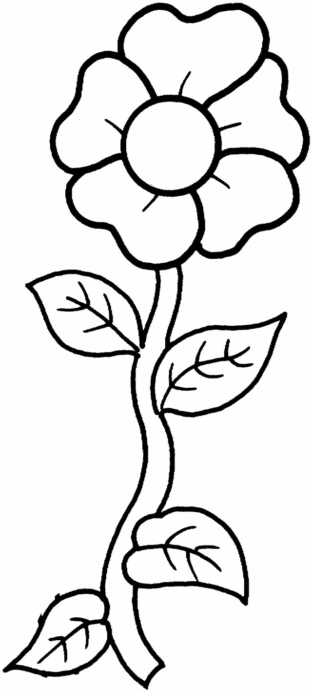 Free Printable Flower Coloring Pages
 Flower coloring pages A single flower
