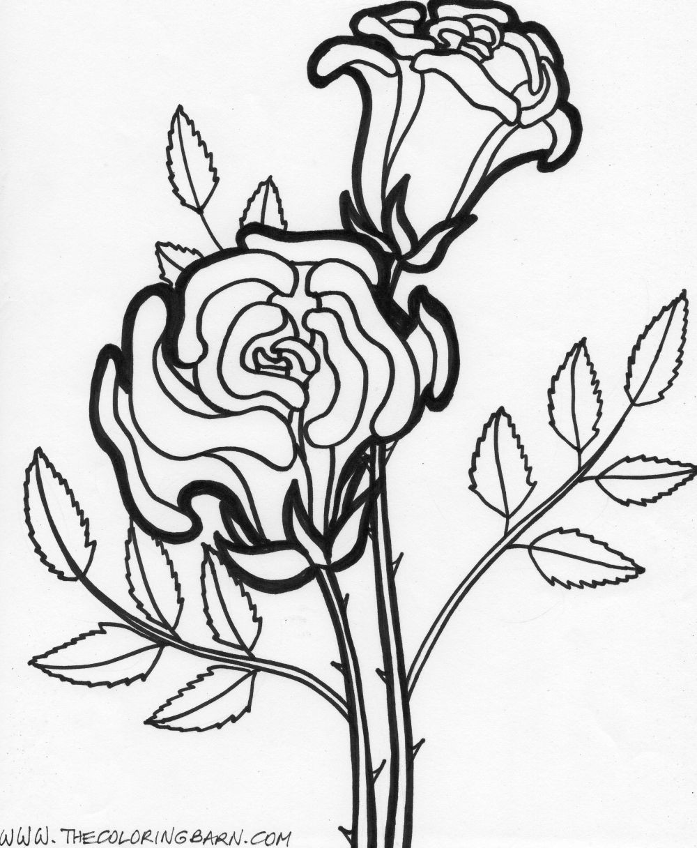Free Printable Flower Coloring Pages
 Coloring Pages Worksheets Simple Flower Coloring Pages