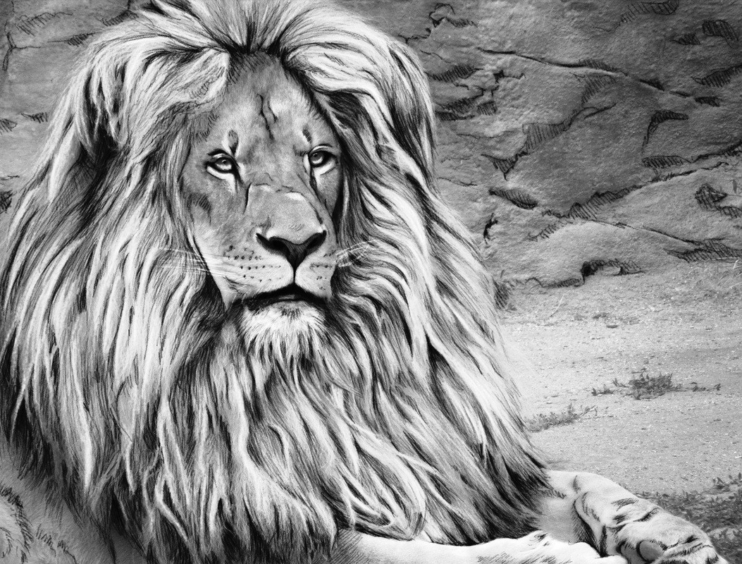 Free Printable Grayscale Coloring Pages
 Grayscale coloring Download Grayscale coloring for free 2019