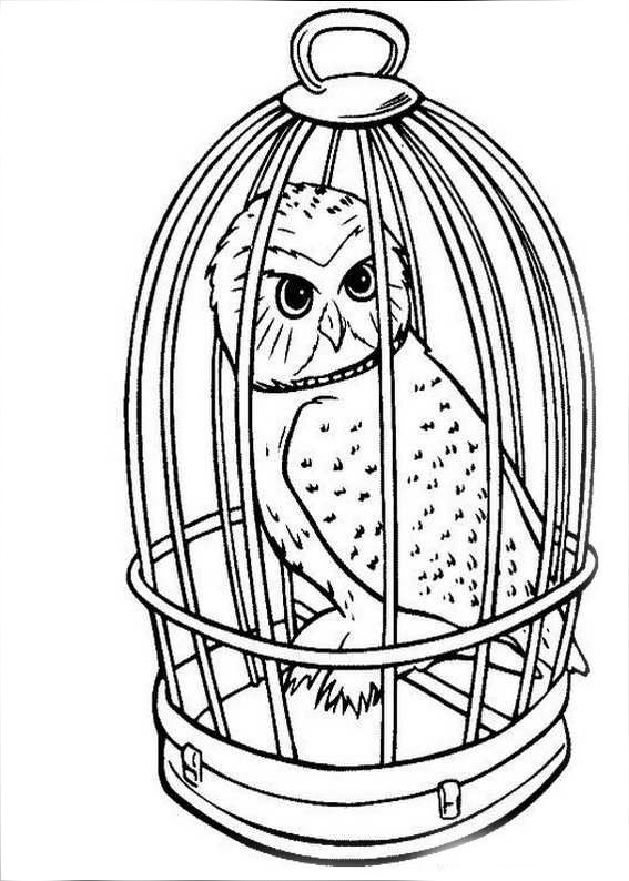 Free Printable Harry Potter Coloring Pages
 Harry Potter Coloring Pages to and print for free