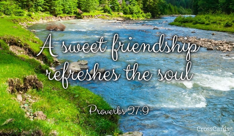 Friendship Quotes From The Bible
 25 Best Bible Verses About Friendship Encouraging