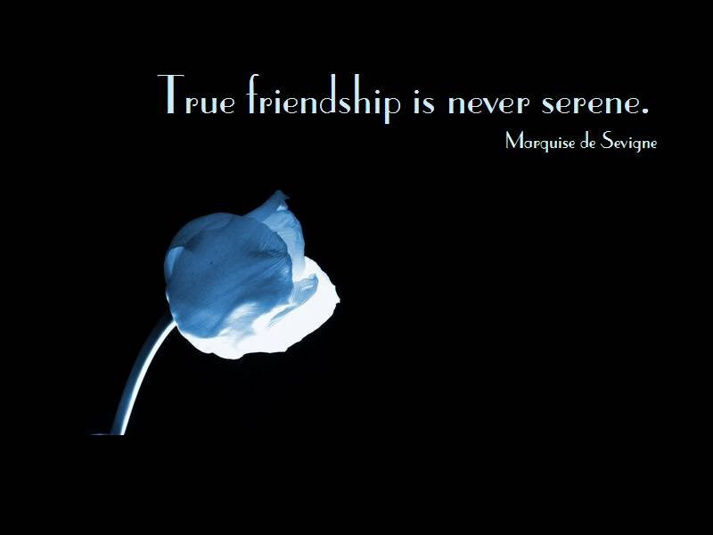 Friendship Quotes Short
 30 Heart Touching Friendship Quotes