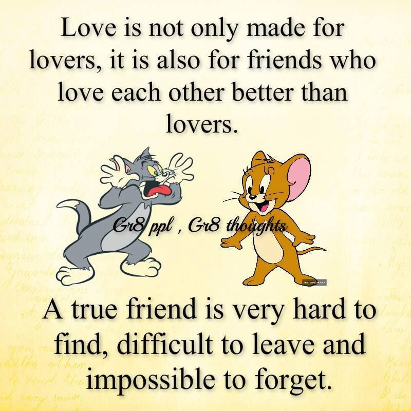Friendship To Love Quote
 A True Friend Is Difficult To Find s and