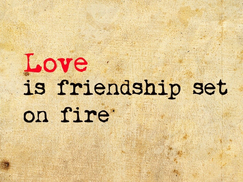 Friendship To Love Quote
 Love Is Friendship Set Fire