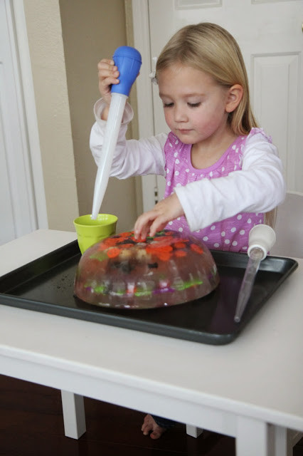 Fun Projects For Toddlers
 Toddler Approved 7 Favorite Toddler Science Activities