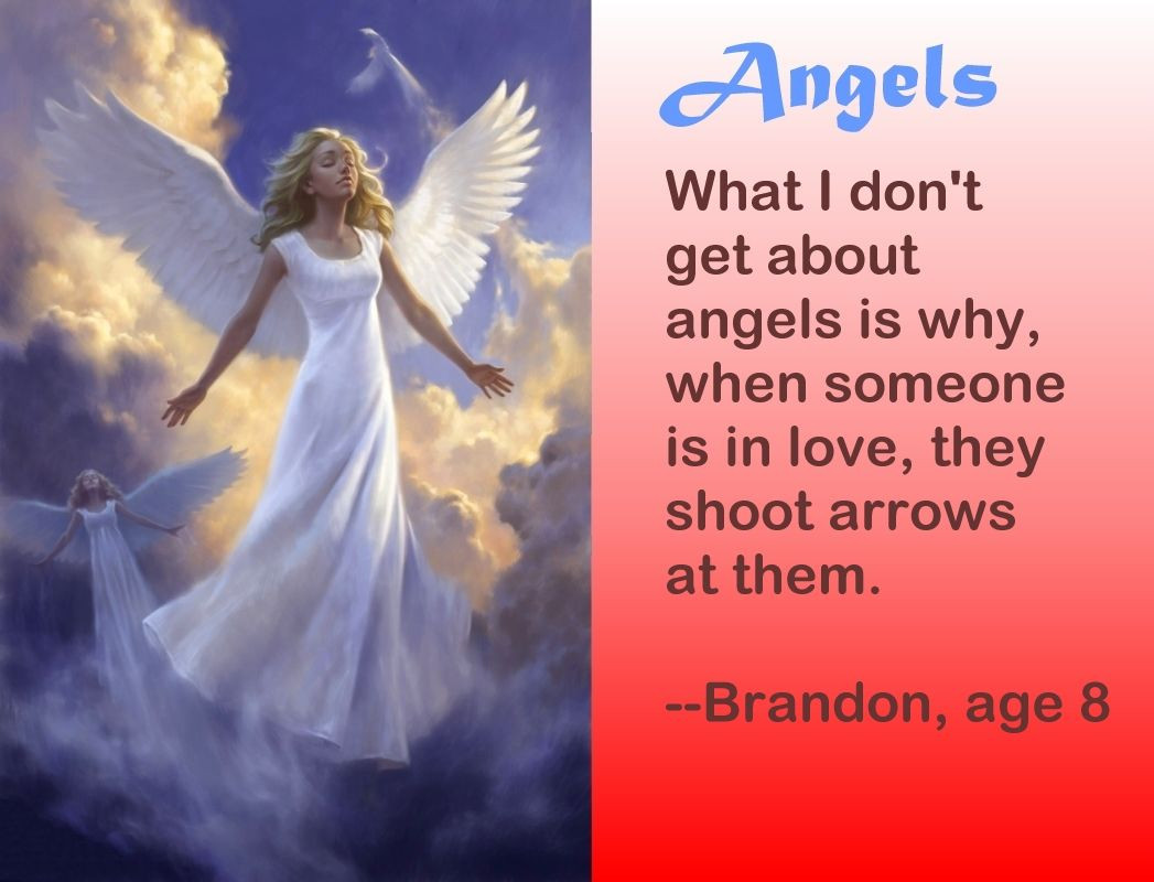 Funny Angel Quotes
 Funny Angel Quotes QuotesGram