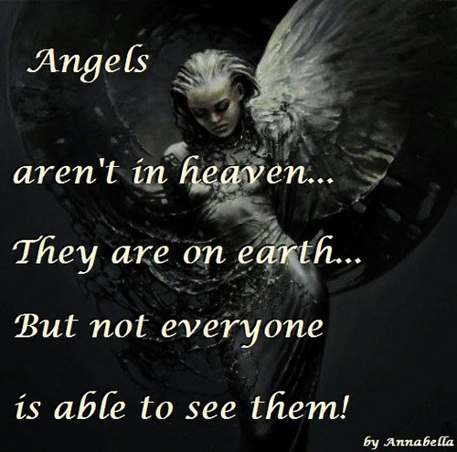 Funny Angel Quotes
 Funny Angel Quotes And Sayings QuotesGram