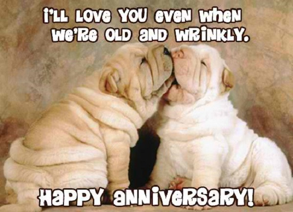 Funny Anniversary Quotes For Wife
 20 Wedding Anniversary Quotes For Your Wife