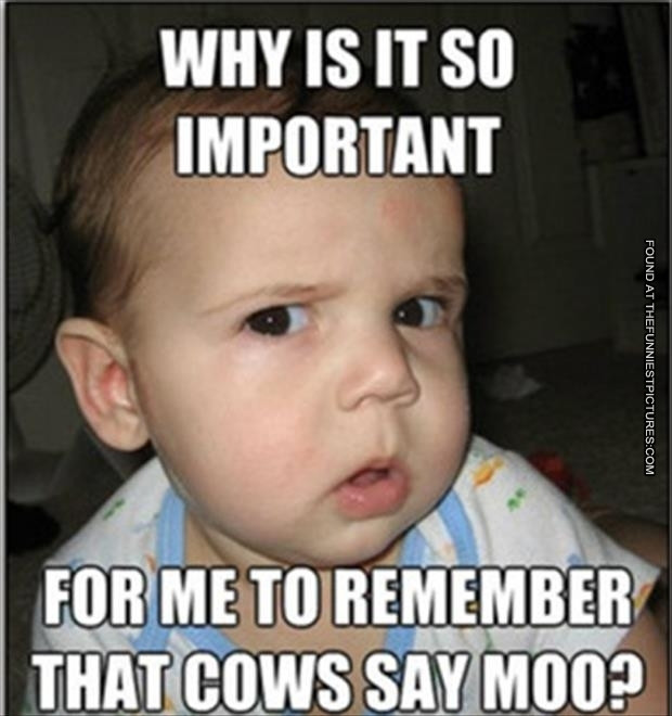 Funny Baby Quotes
 What does the cow say