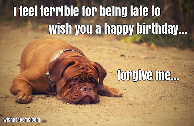 Funny Belated Birthday Wishes
 35 Happy Birthday Wishes Quotes & Messages with Funny