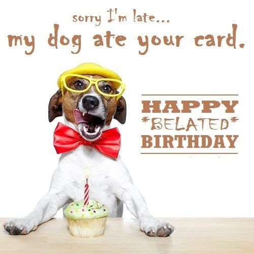 Funny Belated Birthday Wishes
 69 best Happy Birthday Quotes and Wishes images on