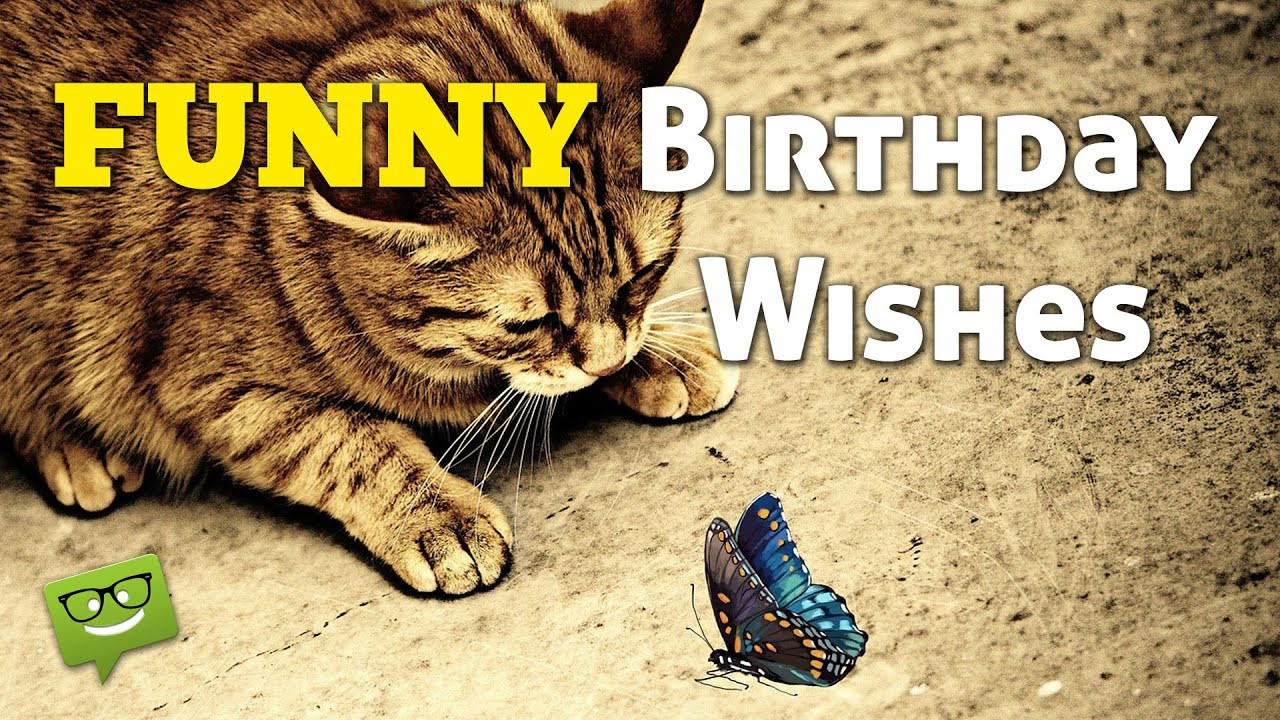 Funny Birthday Wish
 Funny Birthday Wishes