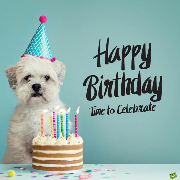 Funny Dog Birthday Wishes
 Happy Birthday Cute Dog