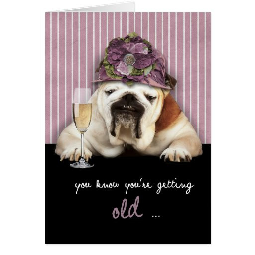 Funny Dog Birthday Wishes
 ting older happy birthday funny dog pink hat card