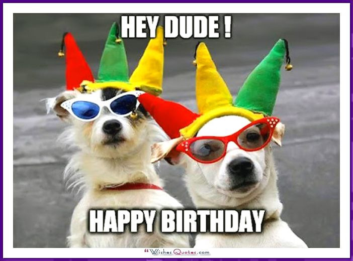 Funny Dog Birthday Wishes
 Funny Birthday dog picture Happy Birthday pictures