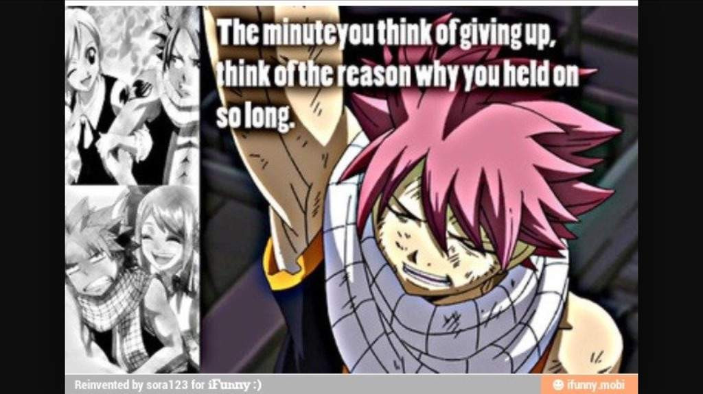 Funny Fairy Tail Quotes
 Fairy tail inspirational quotes part 1