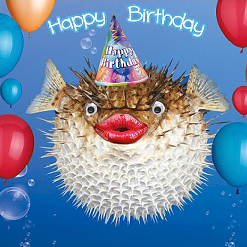 Funny Fishing Birthday Cards
 Funny Fish Birthday Card 3D Goggly Moving Eyes Party Hat