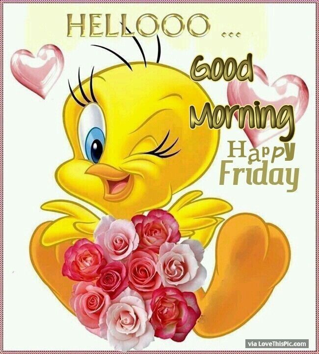 Funny Friday Morning Quotes
 Hello Good Morning Friday s and for