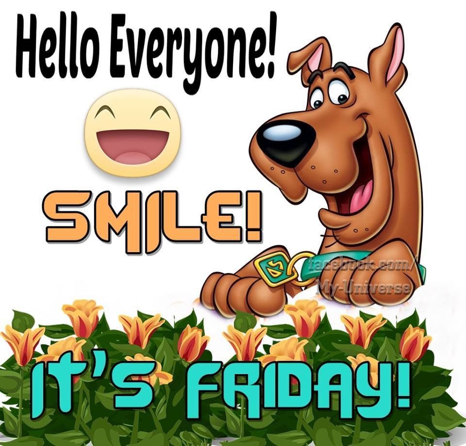 Funny Friday Morning Quotes
 Hello Everyone Smile It s Friday s and