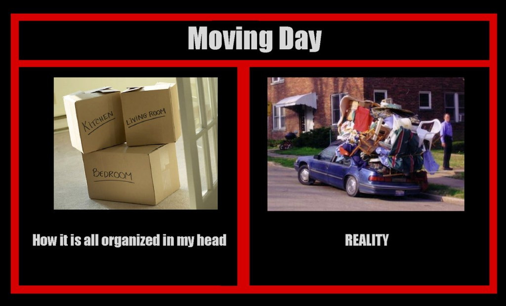 Funny Quotes About Moving
 Funny Moving Day Memes For Sanity s Sake