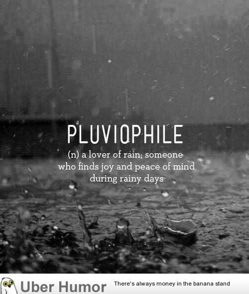 Funny Rain Quotes
 Who else here find sound of rain charming
