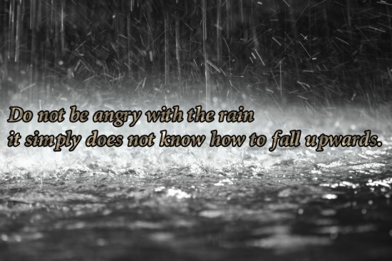 Funny Rain Quotes
 Funny Quotes About Rain QuotesGram