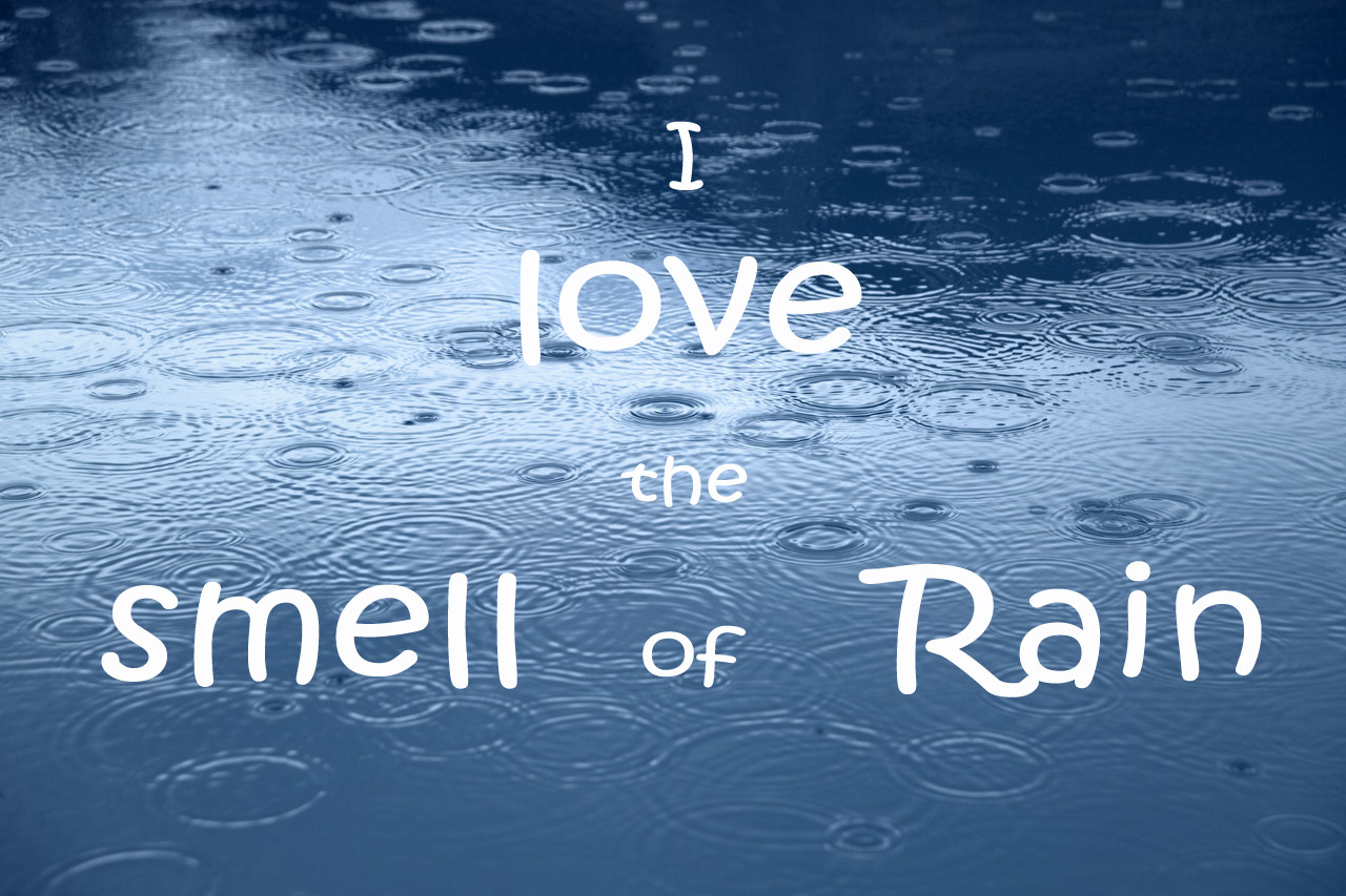Funny Rain Quotes
 Funny Rain Quotes And Sayings QuotesGram