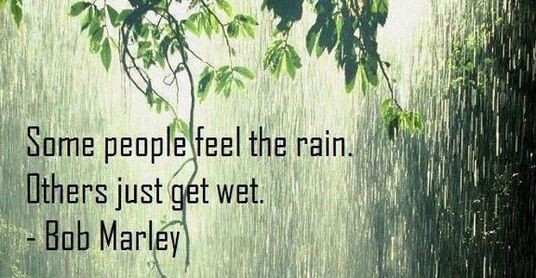 Funny Rain Quotes
 Funny Quotes Rainy Day QuotesGram