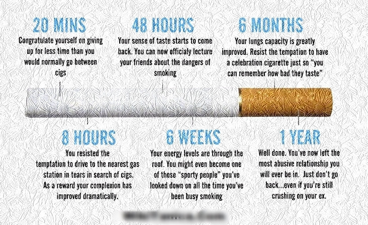 Funny Smoking Quotes
 Motivational Quotes to Help Quit Smoking Shainginfoz