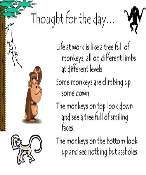 Funny Thought Of The Day Quotes
 Thought For The Day