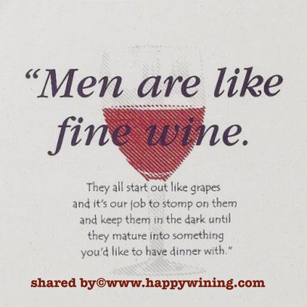 Funny Wine Quotes
 Pinterest Wine Funny Quotes QuotesGram