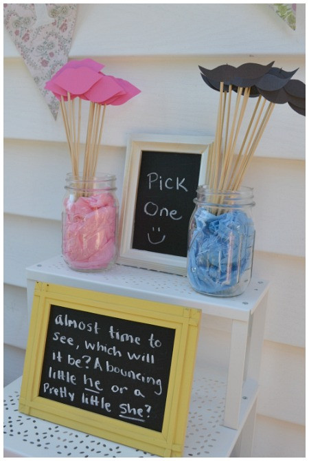 Gender Party Reveal Ideas
 5 Gender Reveal Party Ideas Your Guests Will Love