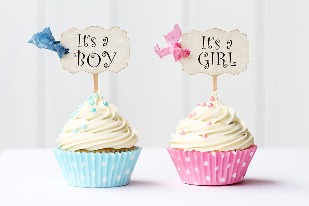 Gender Reveal Party Ideas Blog
 5 Cute Gender Reveal Party Ideas