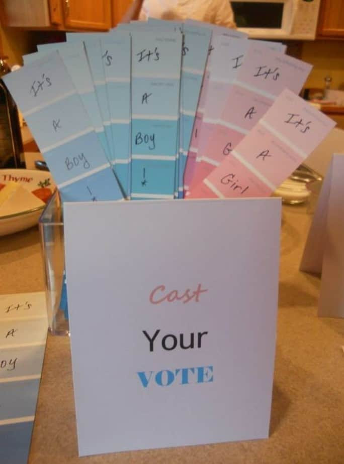 Gender Reveal Party Name Ideas
 cast your vote gender reveal party ideas