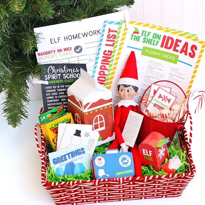 Gift Baskets For Children
 12 DIY Christmas Gift Baskets for Kids
