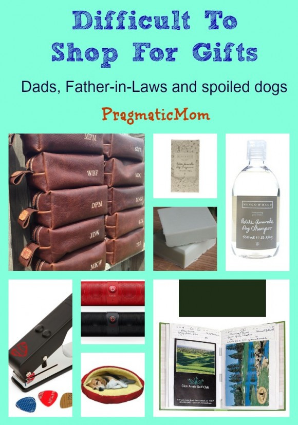 Gift Ideas For Father In Law
 Father in Law t ideas PragmaticMom
