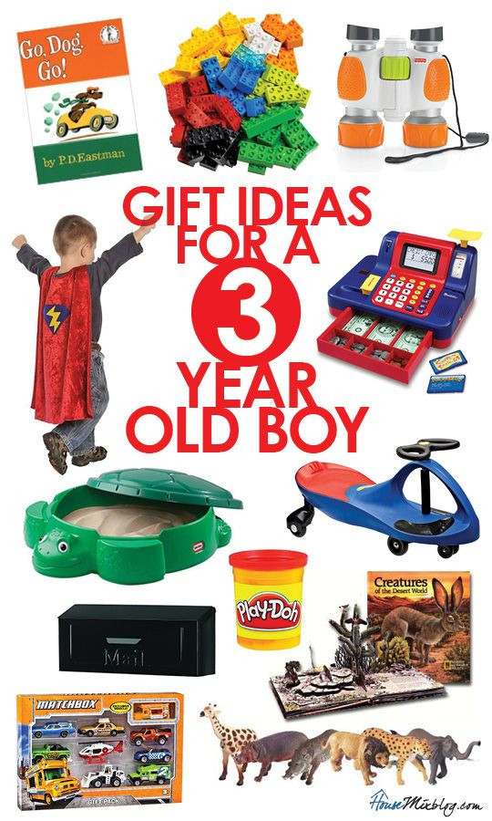 Gift Ideas For Toddler Boys
 Gift ideas for 3 year old boys
