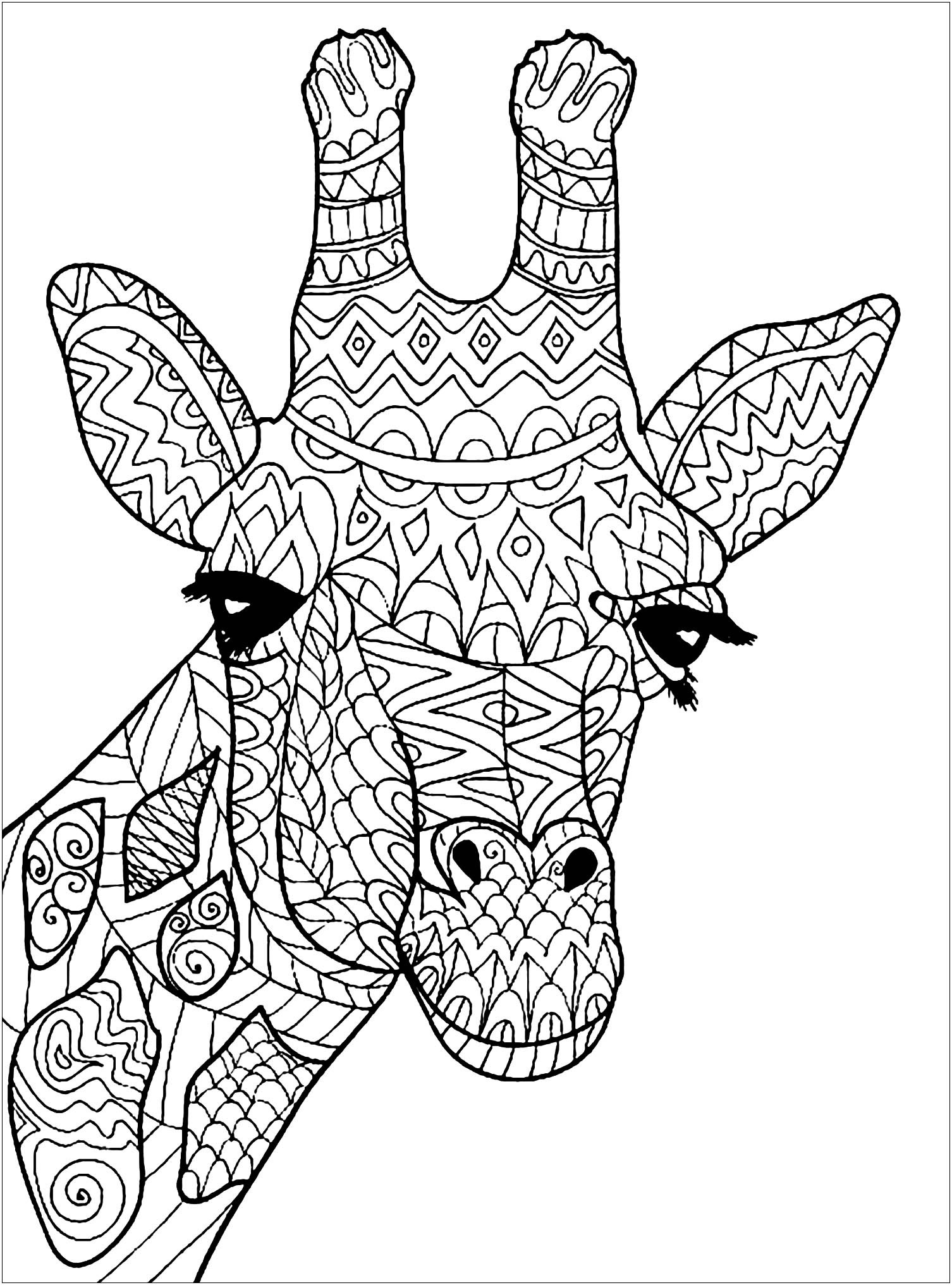 Giraffe Coloring Pages For Adults
 Giraffe head Giraffes Adult Coloring Pages