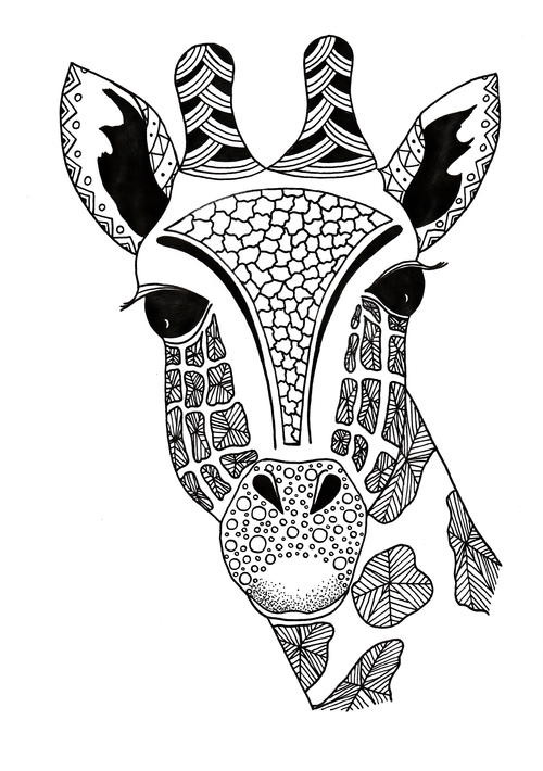 Giraffe Coloring Pages For Adults
 Giraffe Zentangle Coloring Page