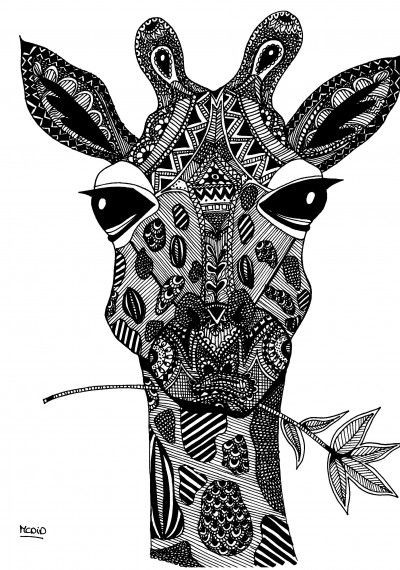 Giraffe Coloring Pages For Adults
 Free coloring pages round up for grown ups Rachel Teodoro