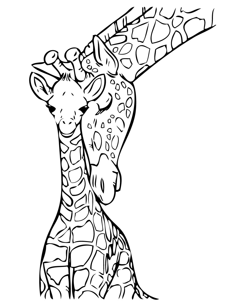 Giraffe Coloring Pages For Adults
 Baby Giraffe Drawing ClipArt Best