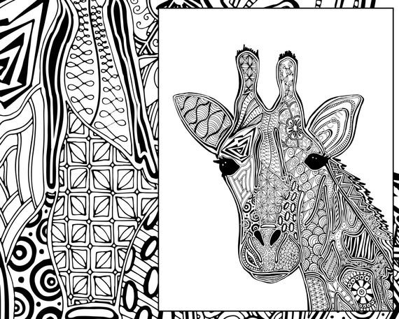 Giraffe Coloring Pages For Adults
 giraffe coloring page animal coloring page adult coloring