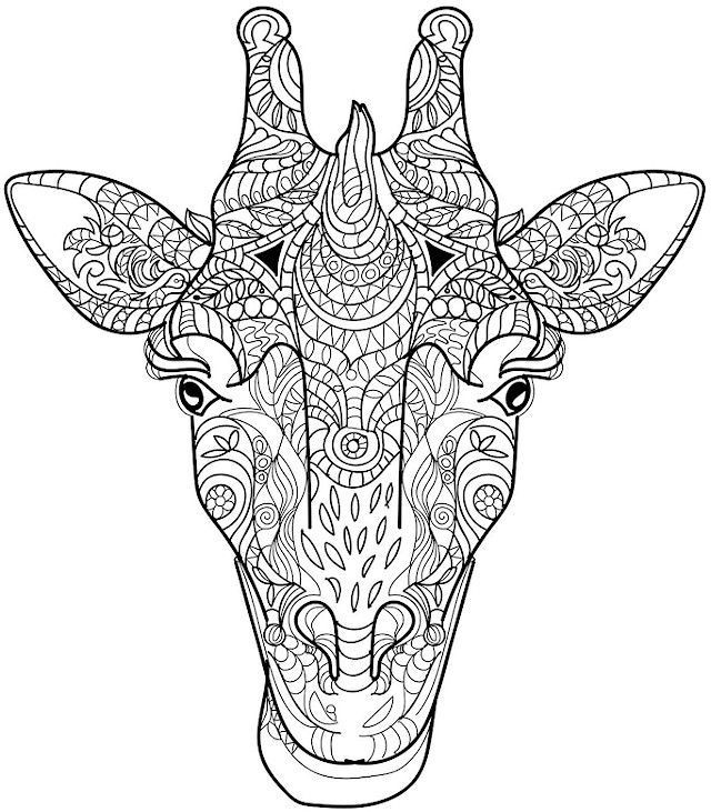 Giraffe Coloring Pages For Adults
 Adult Coloring Pages Animals adult coloring 3
