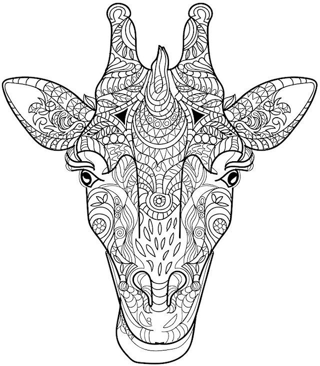Giraffe Coloring Pages For Adults
 giraffe coloring page colorpagesforadults